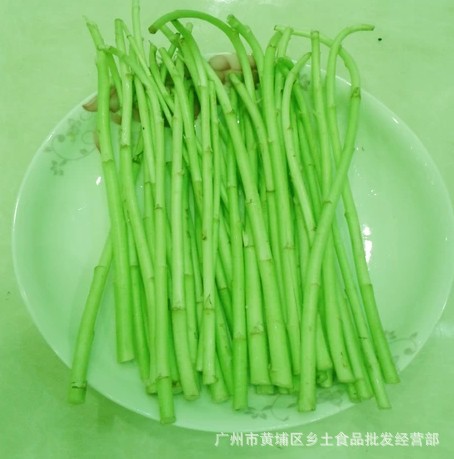 舌尖上的黎蒿 野生嫩蘆蒿 無公害新鮮蔬菜 原生態蔬菜 綠色食品