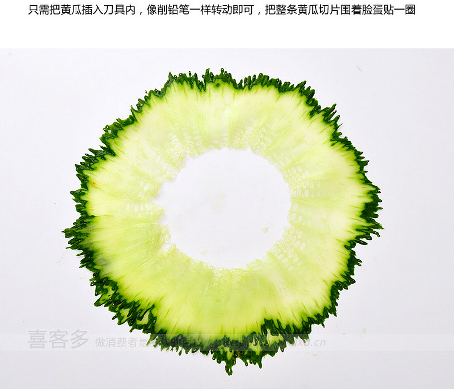 黄瓜横切结构图图片