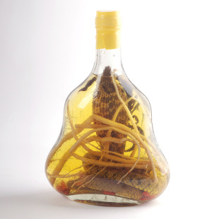 越南特产养生保健酒 祛湿活血 风湿类保健酒 蛇蝎药酒700ml