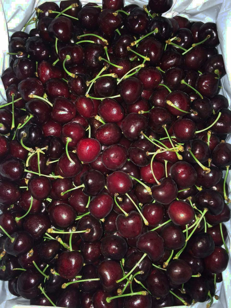 进口美国车厘子 新鲜西北樱桃 26-28mm 广州进口水果批发