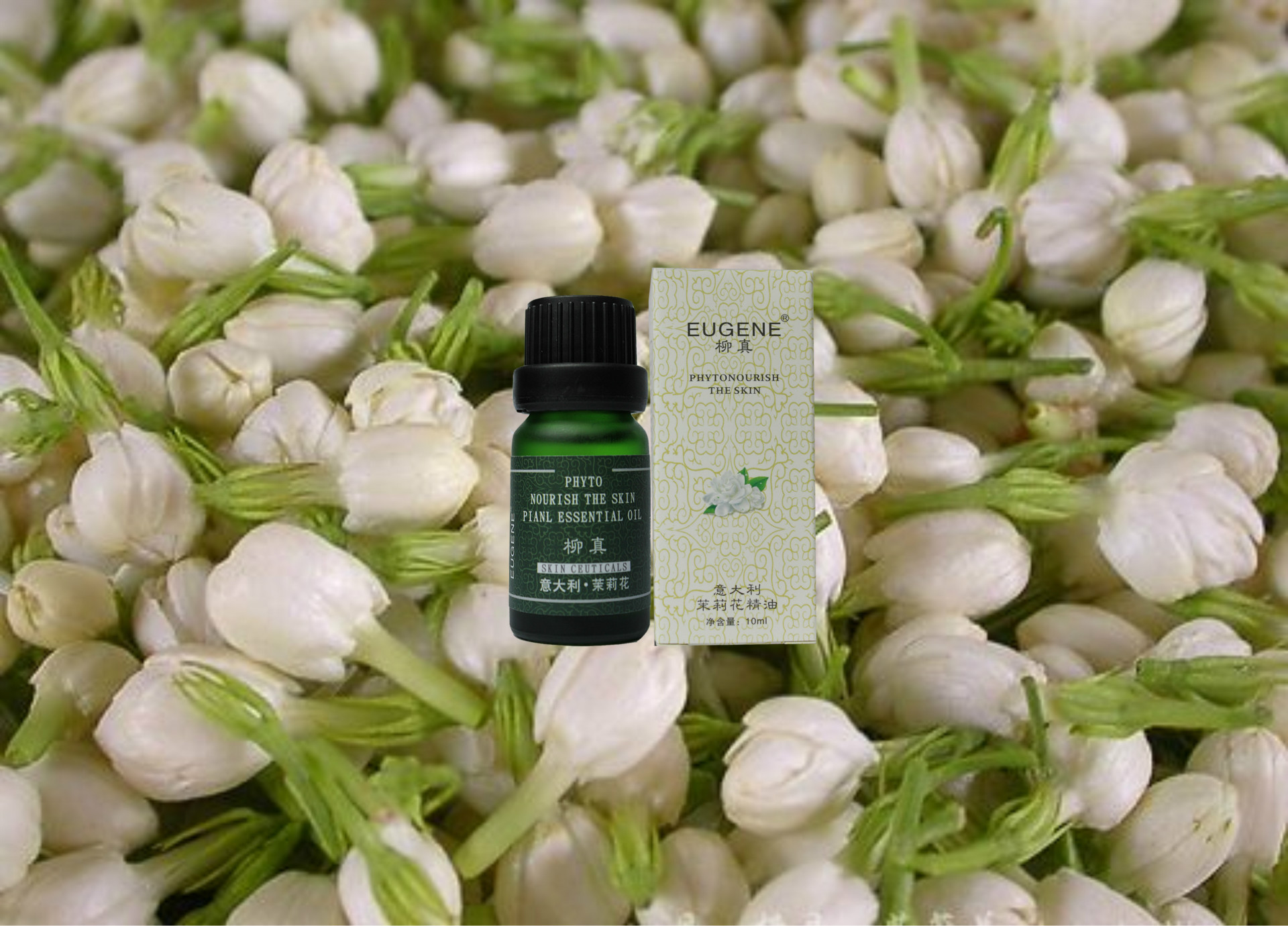 意大利茉莉花 单方精油 抗衰老调节