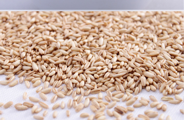 >> 优质烘焙麦仁2.5kg纯天然绿色五谷杂粮熟麦仁营养