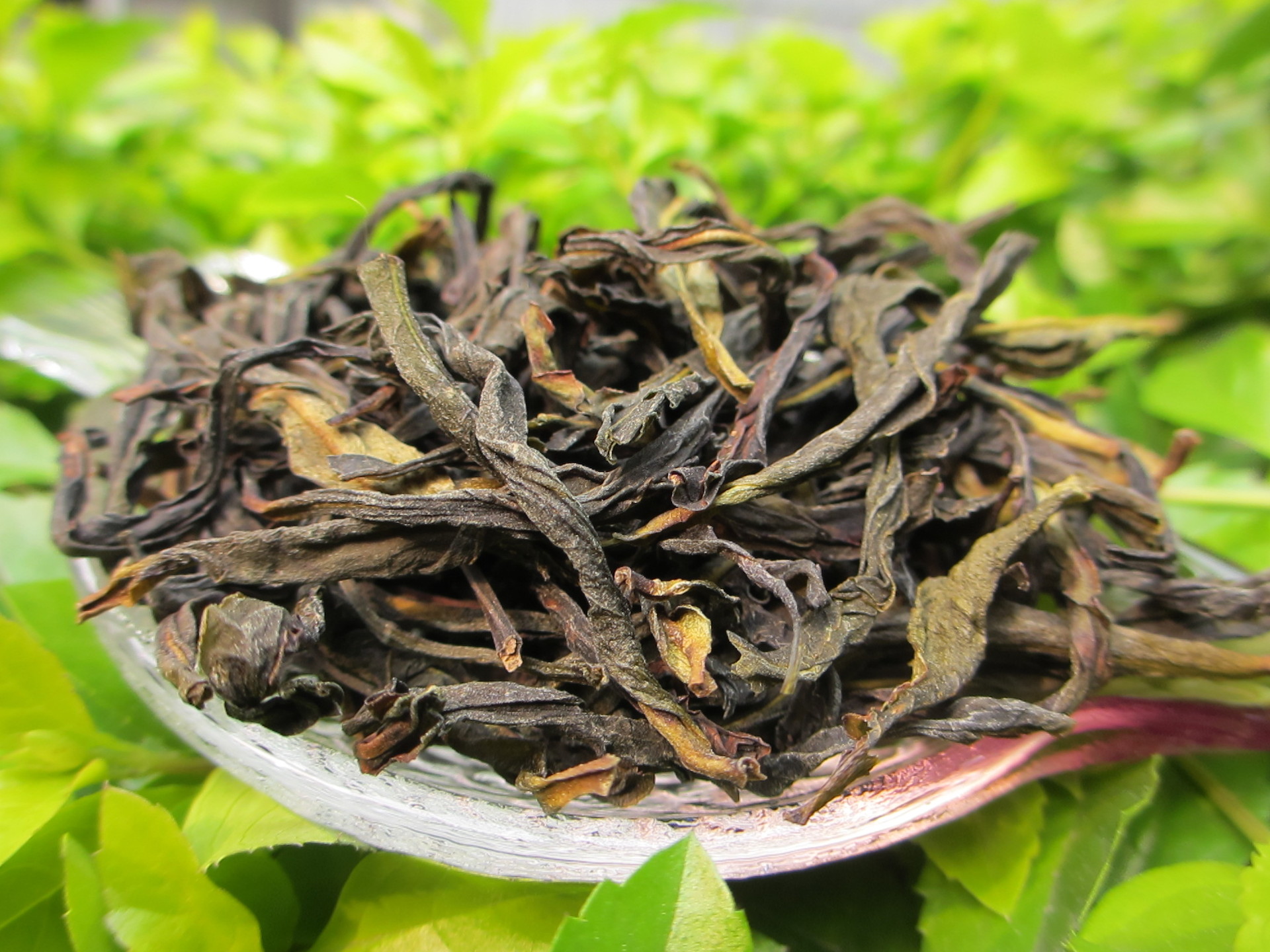 厂家直销散装茶叶凤凰黄枝香单丛茶叶清香型单枞乌龙茶批发