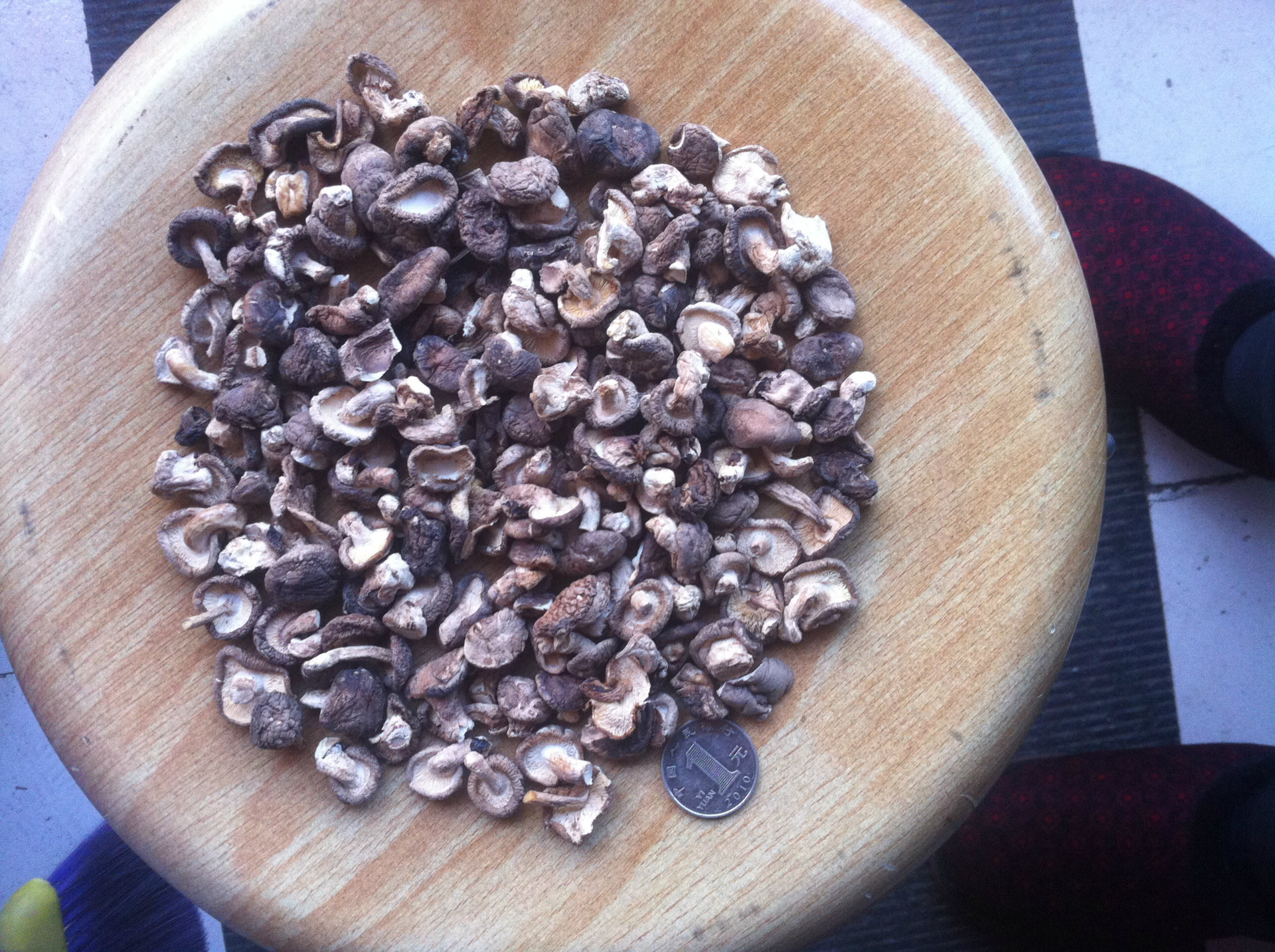 珍珠菇香菇 厂地直销