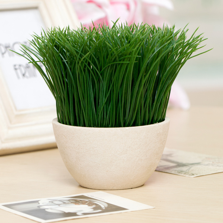 清新小草 仿真小盆栽/仿真青草/个性盆栽图片_6