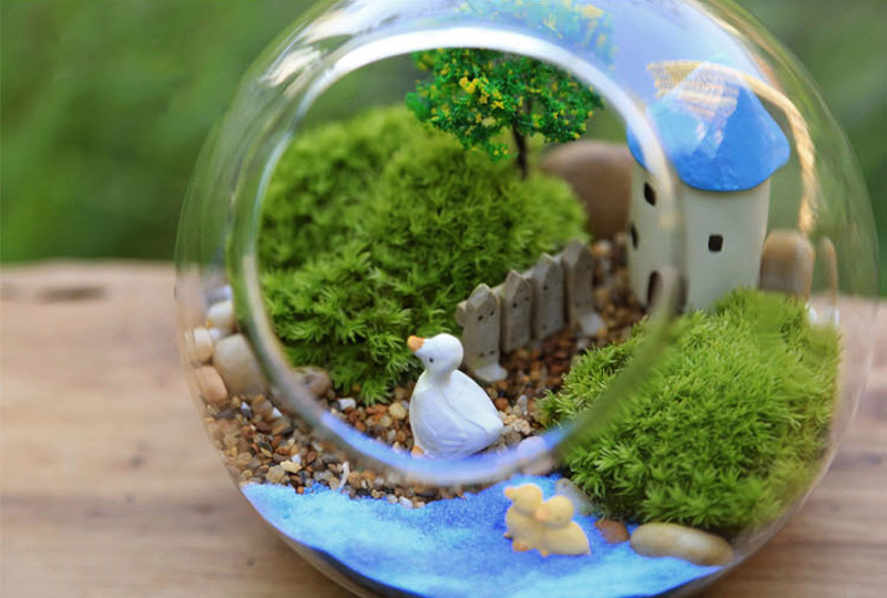 客厅装饰微景观苔藓瓶 创意礼品透明圆形斜口玻璃花瓶 多款可选