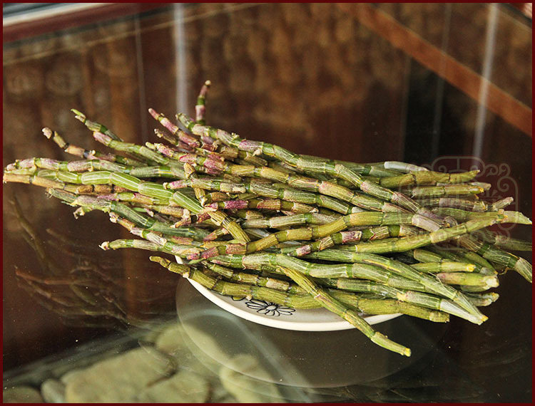 新鲜铁皮石斛 二级 红色 铁皮枫斗 红皮软脚正品铁皮石斛