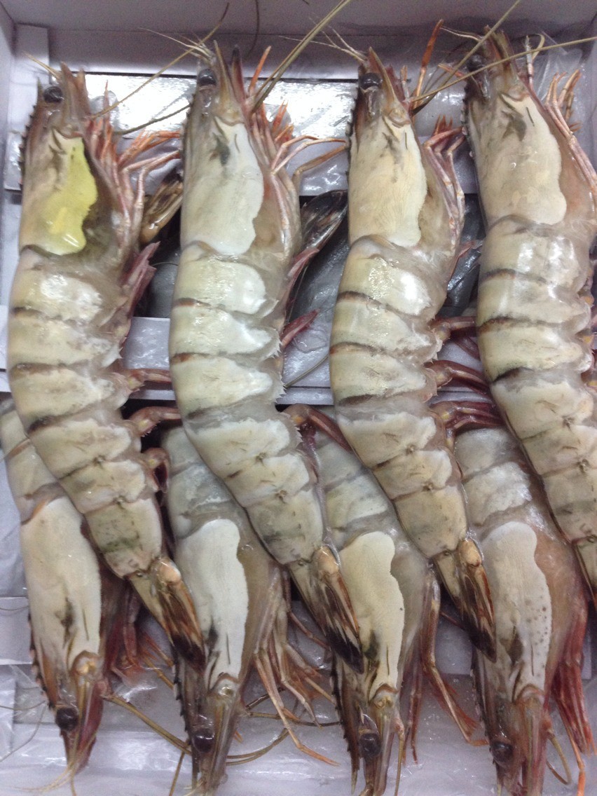 深海野生草虾 新鲜冷冻深海虾 超大草虾