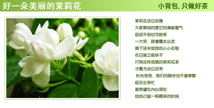 公司店铺作为展厅不零售 只批发10瓶起拍茉莉花 花茶图片_40