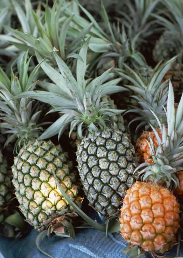 国内漳州程溪菠萝 凤梨