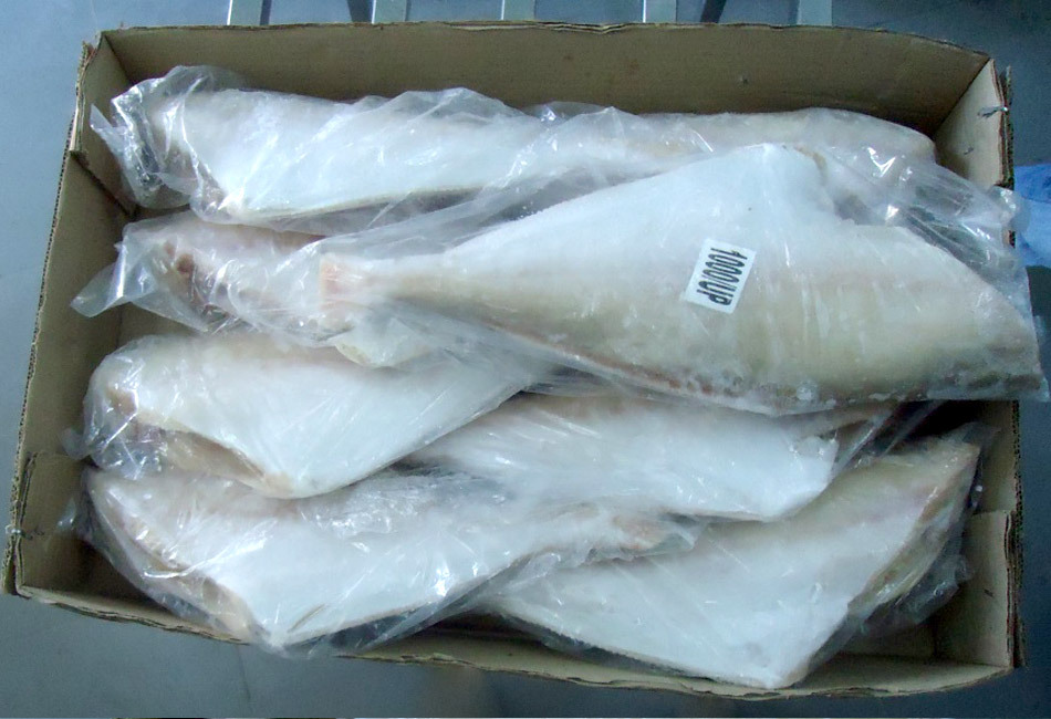 现货进口印度三去马面鱼批发冷冻水产海鲜福建水产品