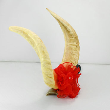 厂家批发jzp367天然造型中号羊角架摆件 精美家居饰品 家居摆件