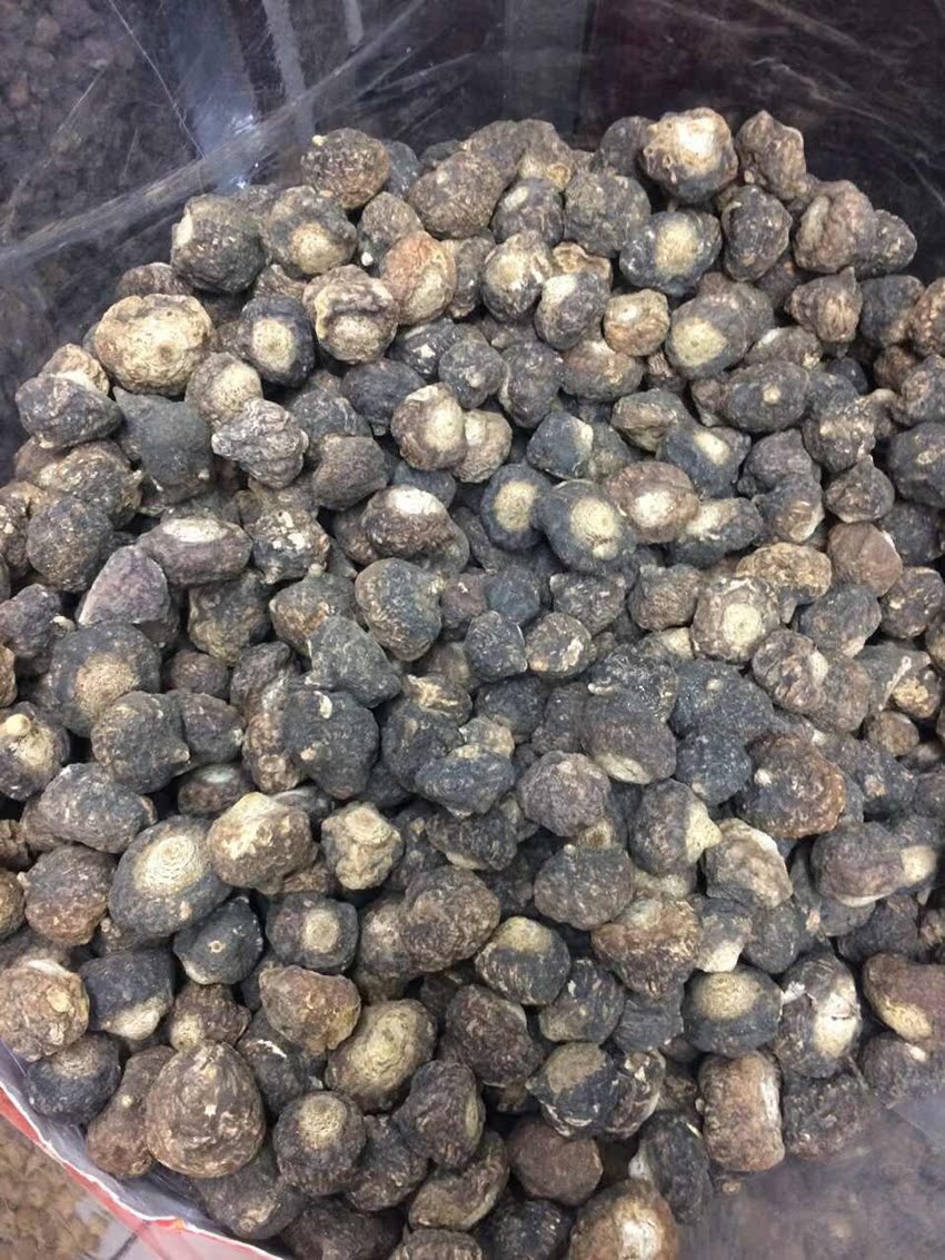 玛卡秘鲁黑玛卡黑玛卡玛卡黑玛卡大个每粒812克