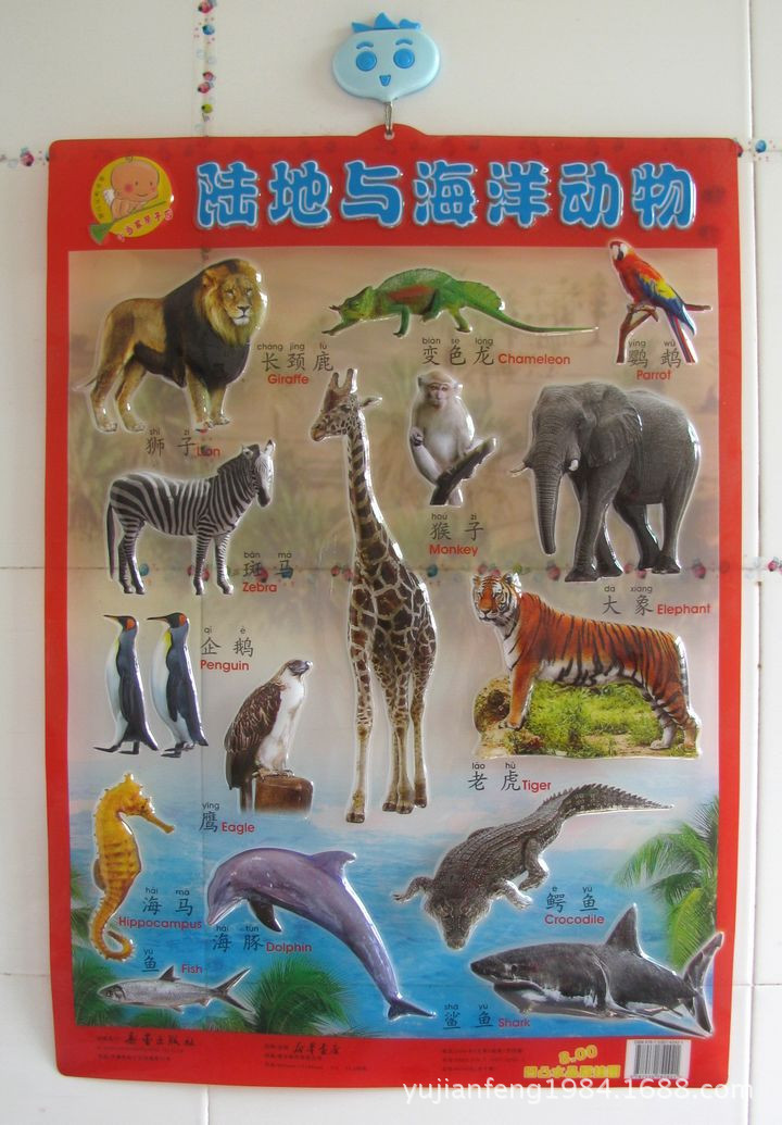 小当家正版儿童水晶透明挂图宝宝环保识字卡花朵婴幼儿凹凸挂图