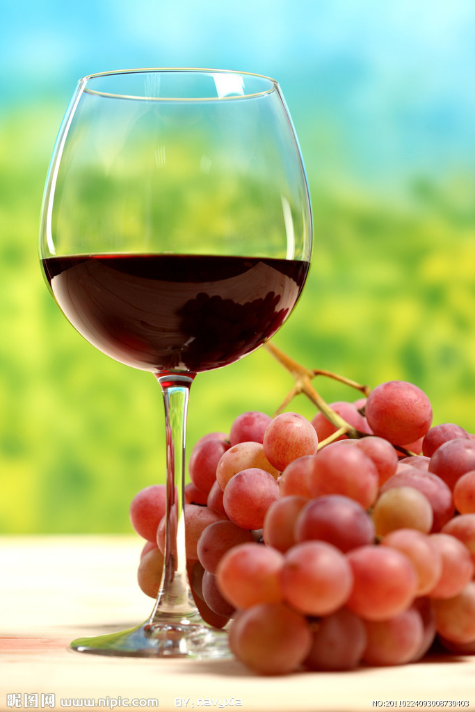 塞纳古堡干红葡萄酒图片