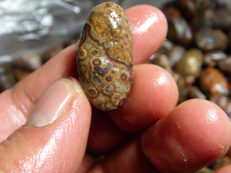 九眼石页岩 眼睛石 戈壁玛瑙九眼石天珠 吊坠 挂牌料 天眼玛瑙