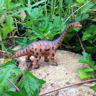 厂家双角龙恐龙模型仿真动物早教喜帝3c玩具商超专供寻省市代理