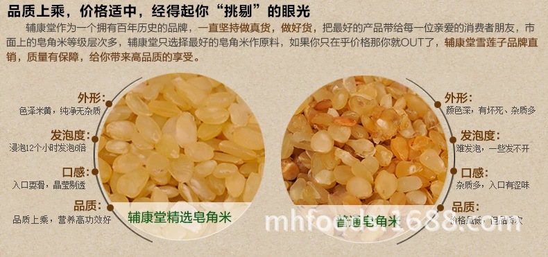 全国批发优质皂角米 野生雪莲子 皂角仁 雪莲果 产地直销一手货源