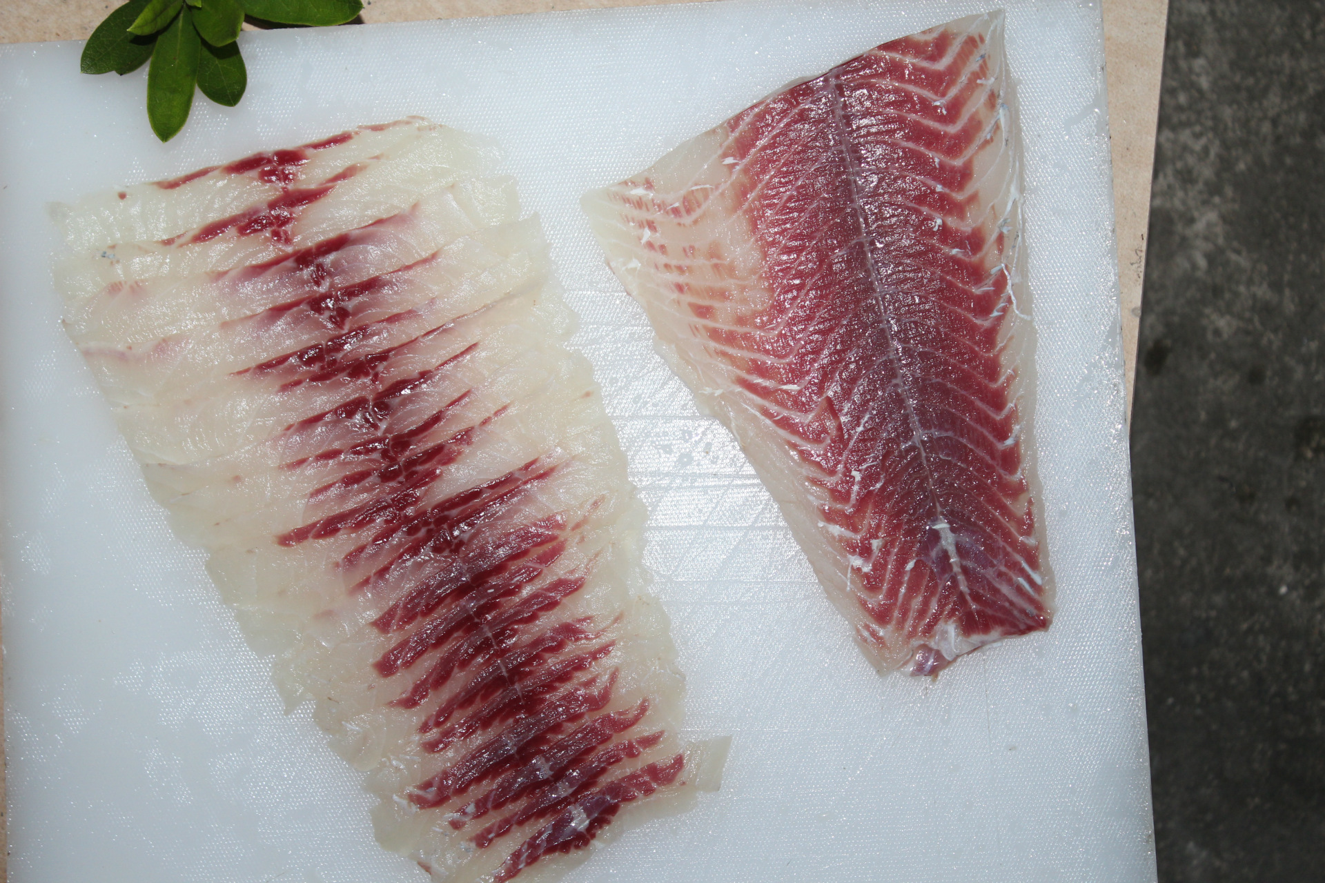 单冻/冷冻草鱼片/ 出口鱼片/ 草鱼水产品加工可出口任何国家