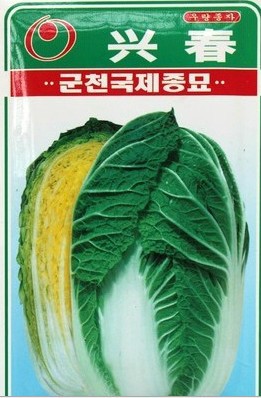 夏欣快速白菜种子 美味早熟 耐热 可做大白菜品种 20克