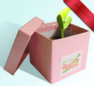 厂家定制加工植物花盆包装纸盒 可提供设计