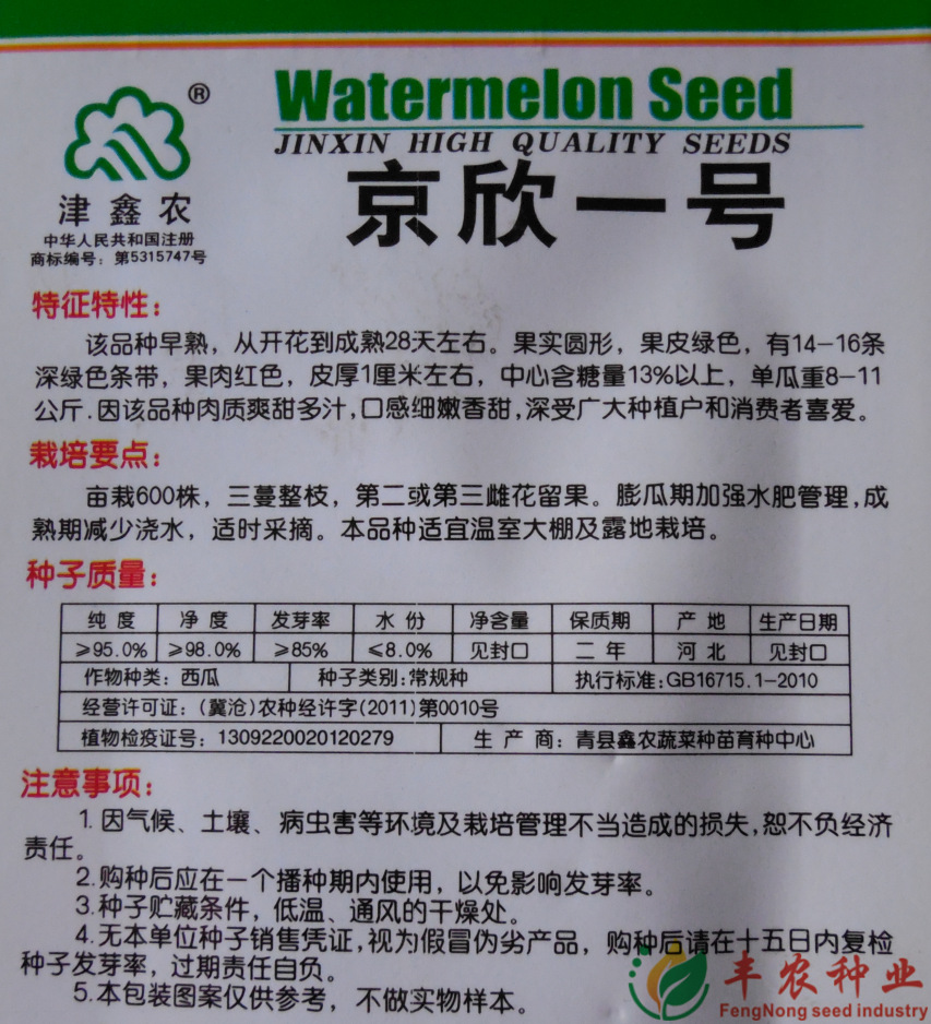 【京欣一号西瓜种子】 水果种子 春夏种 糖度高 家庭种植 约40粒