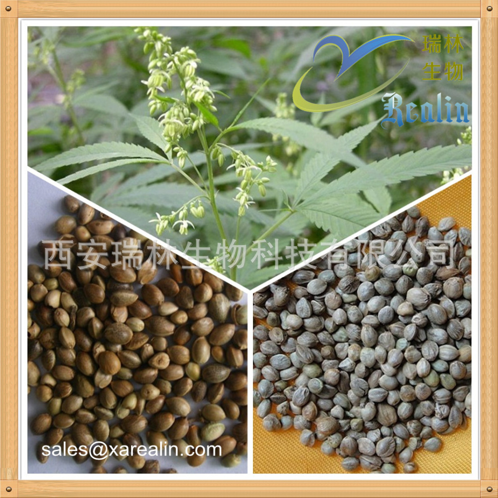 火麻仁的别名,简单(第8页)_大山谷图库
