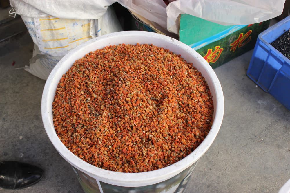 金枸杞 青海柴达木天然金枸杞 野生金枸杞