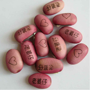 寿光蔬菜花卉 迷你植物diy/神奇爱情刻字魔豆种子 1粒