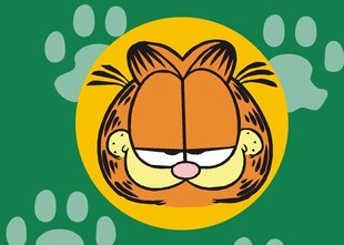 加菲猫卡通印花 a级pet透明胶片 服装 烫画贴