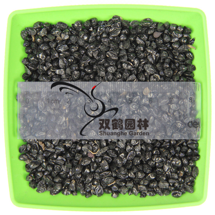 新采萱草种子 优质金娃娃萱草种子 园林绿化地被花卉种子