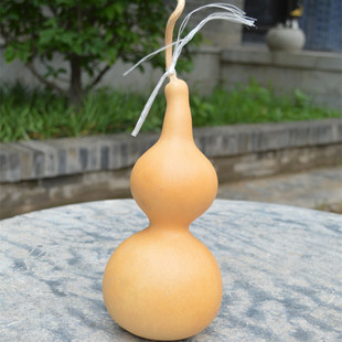 20cm大中号亚腰葫芦 龙头素葫芦 葫芦之乡第一村种植