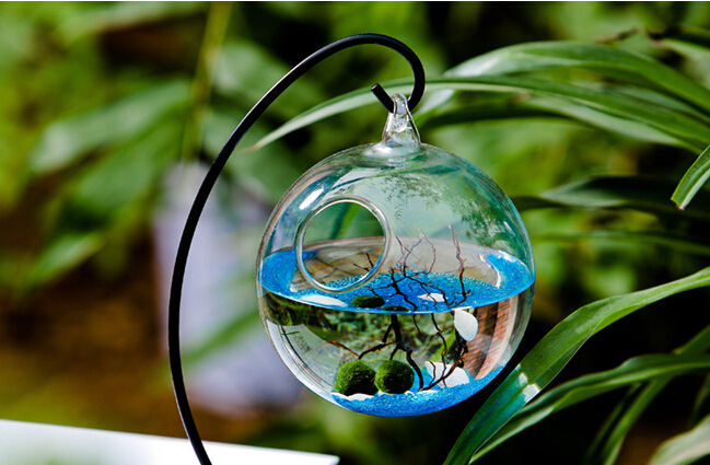 创意单孔圆底透明悬挂微景观生态瓶