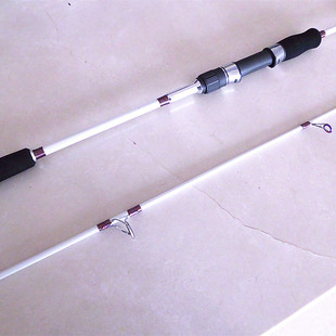 爱路亚 2.1米直柄钓鱼杆 2.4米淡水海钓竿 渔具用品垂钓装备批发
