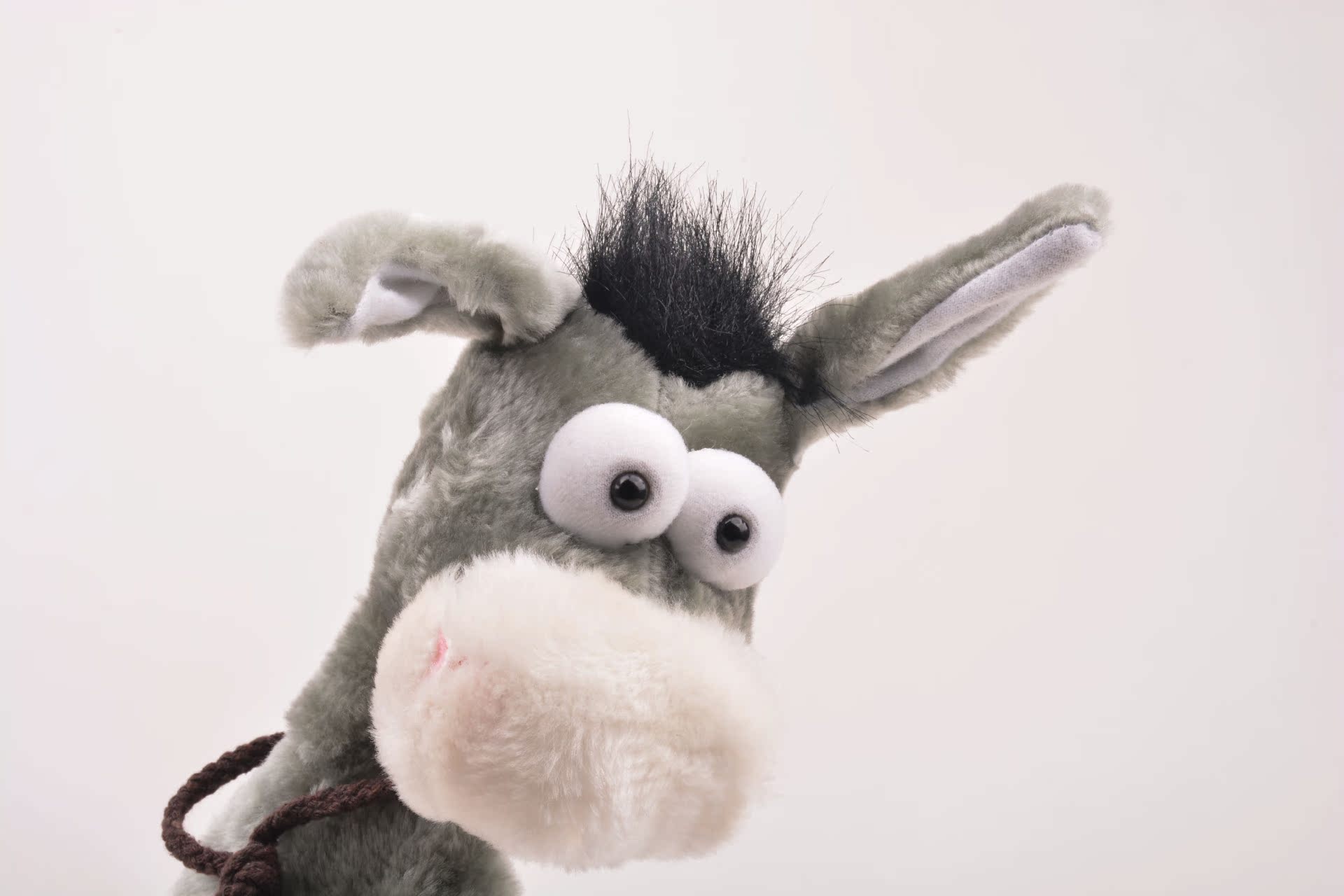 电走动音乐 互动 益智能 摇头驴 儿童毛绒玩具批发图片_36