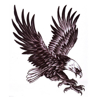 批发纹身贴纸防水男大图老鹰图腾后背仿真半甲雄鹰假文身 mqa21