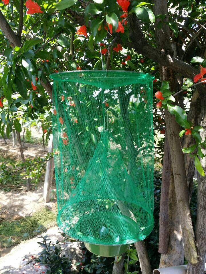 浙江金华折叠式悬挂高效诱饵捕蝇笼苍蝇笼捕蝇器灭苍蝇抓蝇笼子苍蝇