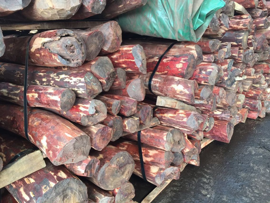 【申梓木材】长期供应批发赞比亚血檀 18662141988