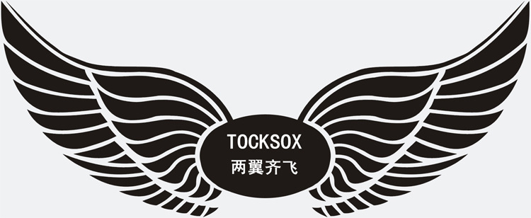 tocksox两翼齐飞专业足球运动袜长筒长袜新款神袜