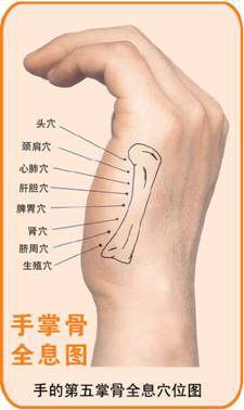 这算不算史上最低成本的家庭健康顾问?