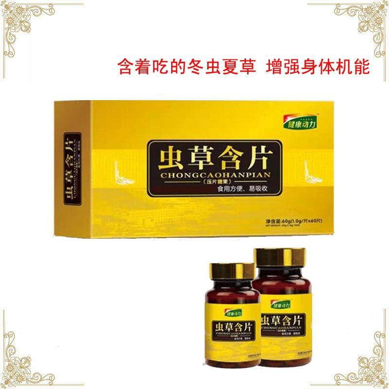 蛹虫草含片含着吃的冬虫夏草 虫草含片增强免疫力