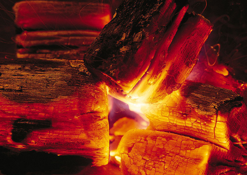 河南木炭厂家批发 烧烤木炭 机制木炭 果木炭