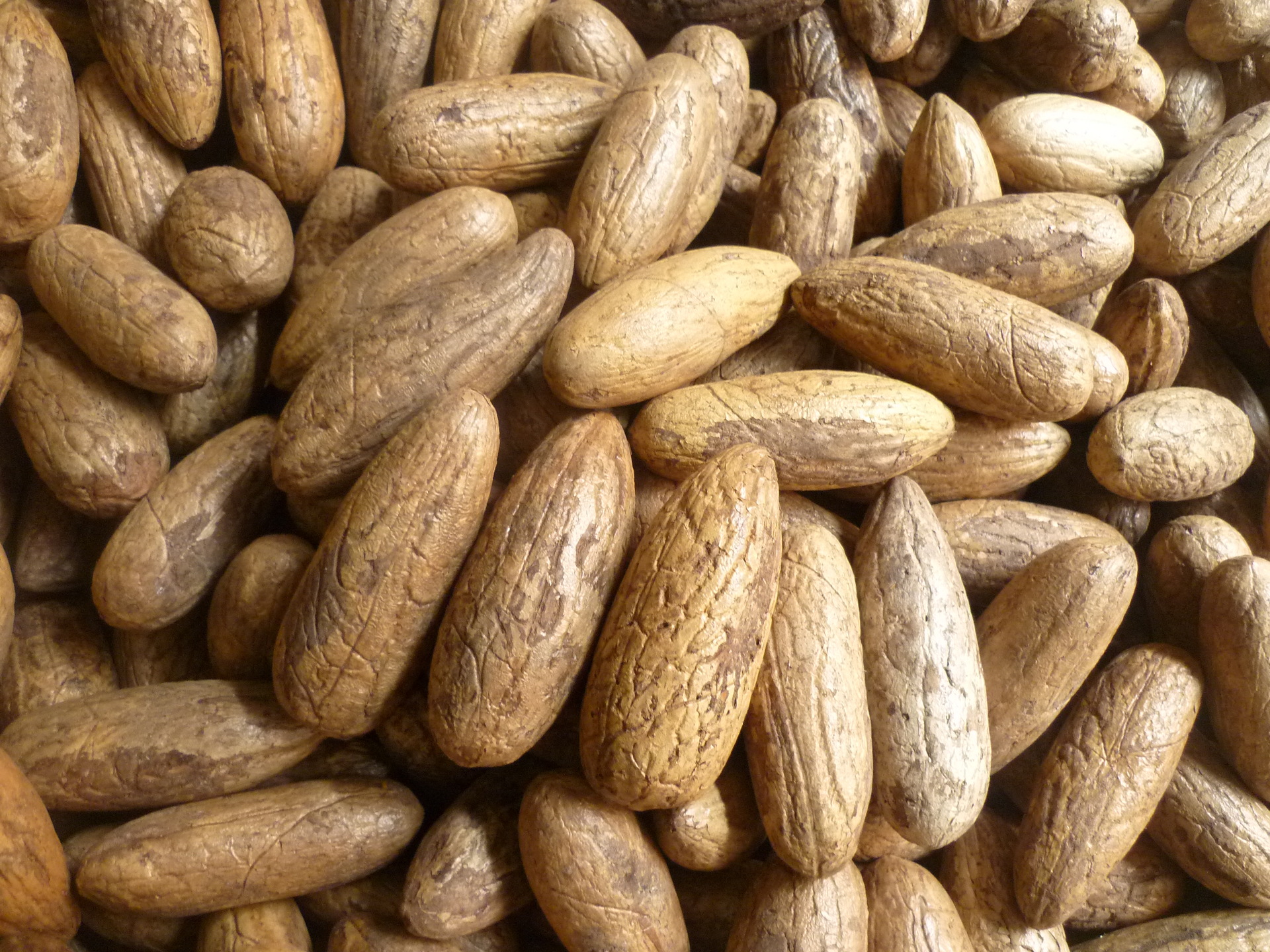 宗教法器,法物 菩提子     