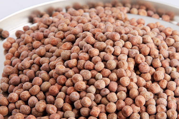 四川成都批发加拿大麻豌豆 芽豆 进口枫豆 豆苗 发芽豆详情 - 中国