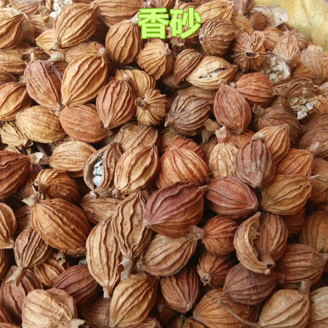 【精品中药】批发中药材香砂/卤菜调料/新货香砂/产地直销 实图