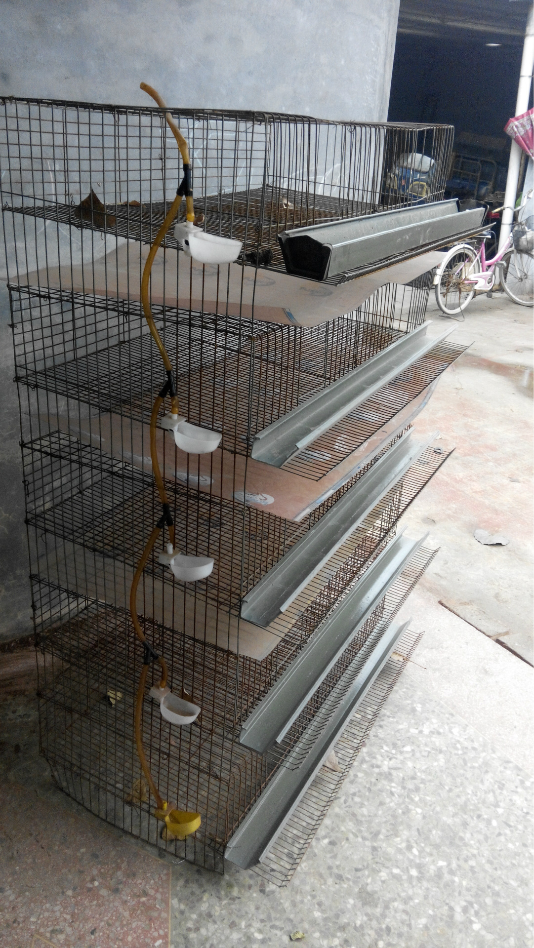 鹌鹑笼生产基地