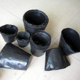 厂家直销 育苗杯 营养钵 黑碗