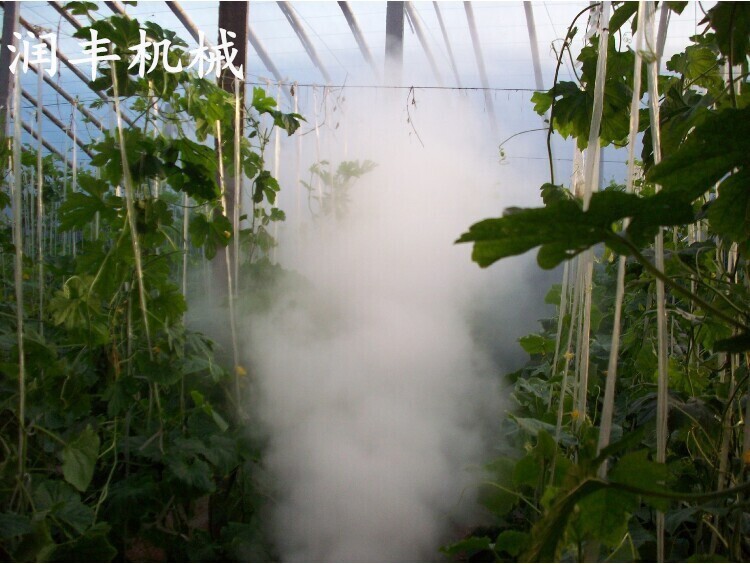果园打药弥雾机 蔬菜大棚弥雾机厂家