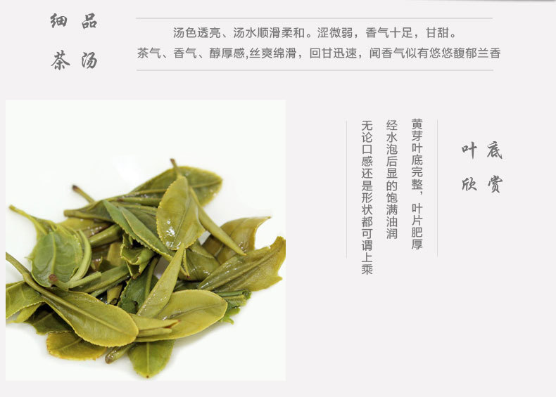 2015新茶 霍山黄芽 明前特级100克 安徽六安茶叶 黄茶 春茶