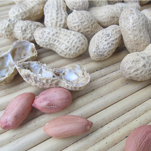 2014年新 红皮花生 鲁花花生25kg装带壳的花生果补血养胃 生花生